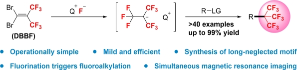 Wang_Q_2021_ACIE_TOC.jpg