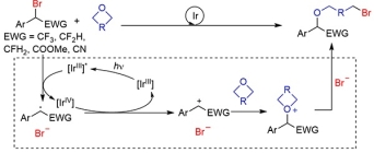 Kuang_CW_2022_Synthesis_TOC.jpg